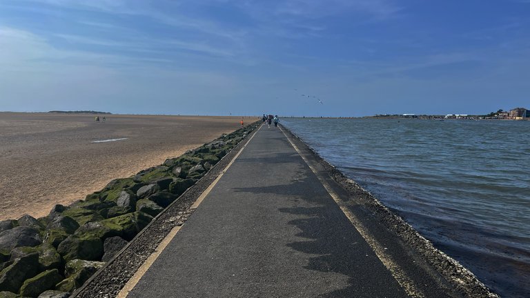 A road separates a sand beach and the ocean