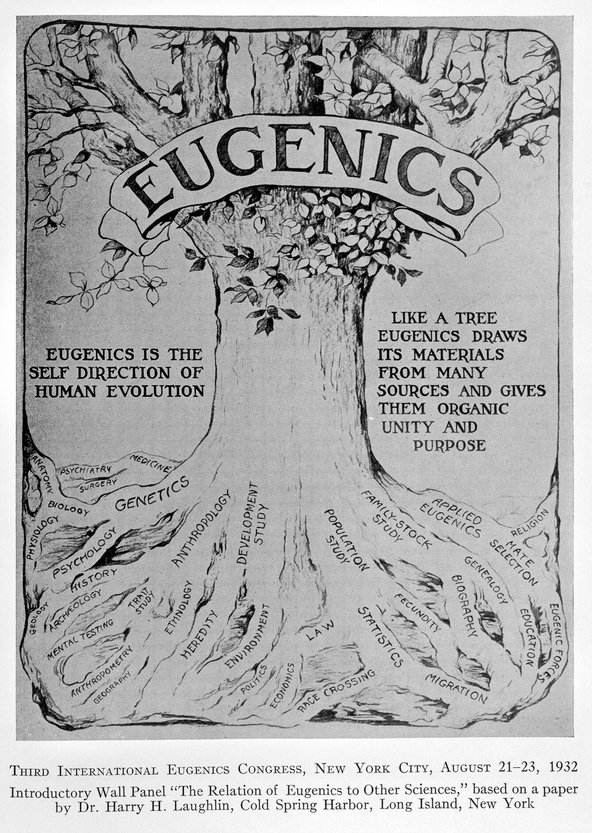 A black and white poster illustrates a large tree with the word 'Eugenics' at the top and roots labelled with various branches of science and human activity portraying how they have supposedly fed into the developmenteugenics.