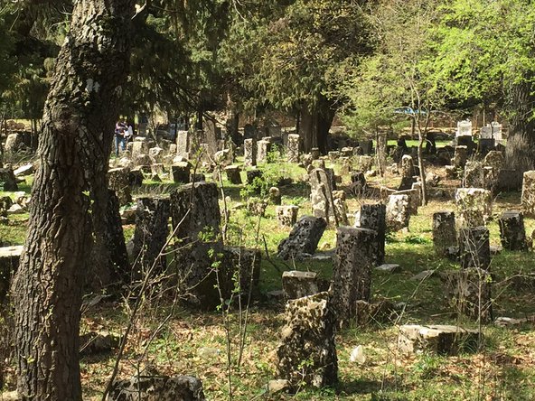 Altınkaya graveyard with ancient-stones. Photo by Işılay Gürsu