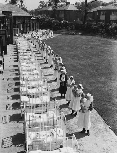 Black and white photograph of babies in a row of cots or held by nursing ladies.