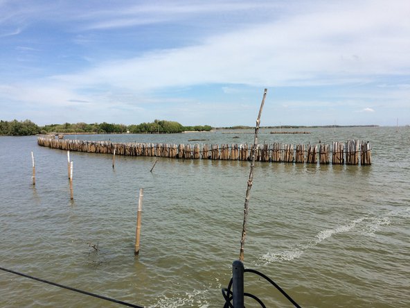 Bamboo fences for wave dissipation in Ban Khun Samut Chin