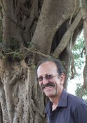 David-Shulman-FBA.jpg