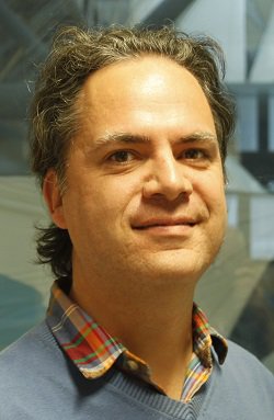 Dr David Napolitano