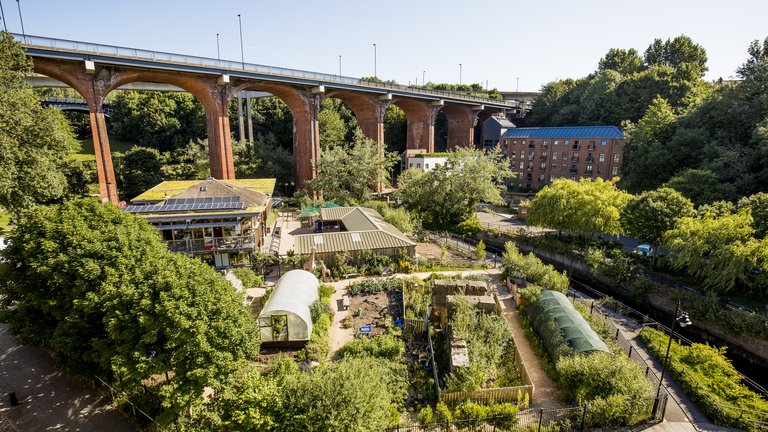 A farm in the middle of a city