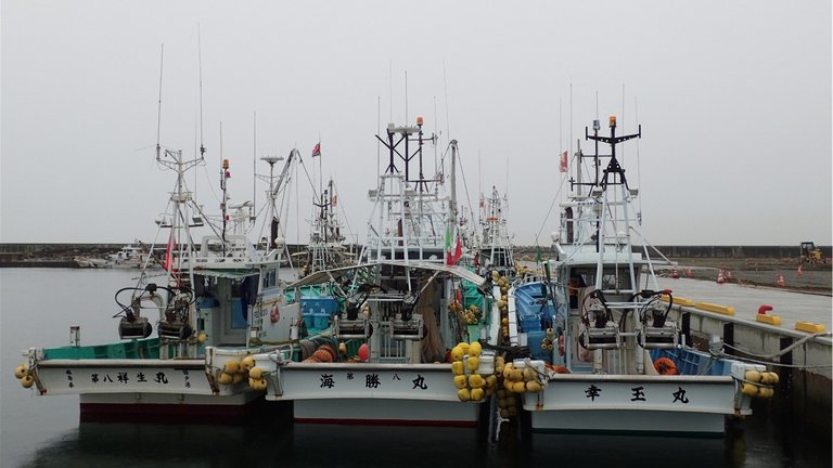 Fishing boats moored in Ukedo Fishing Port, Namie, Fukushima Prefecture. Ukedo’s fish market resumed operations in Spring 2020.