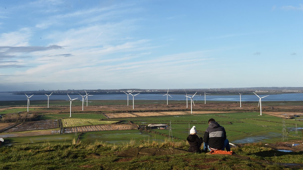 Net Zero Governance | The British Academy