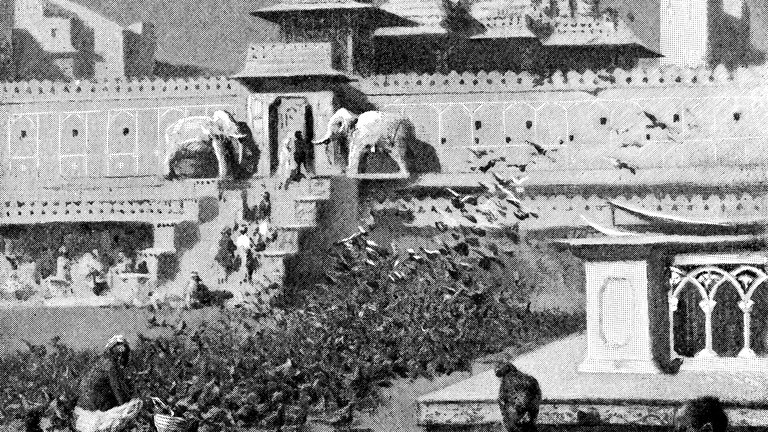 Flock of pigeons among people at the square in front of Kalki Mandir in Jaipur, India during the British Raj era (circa late 19th century). Vintage etching circa 19th century.