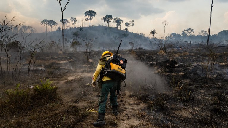 A firefighter battles a fire in the Amazon rainforest
