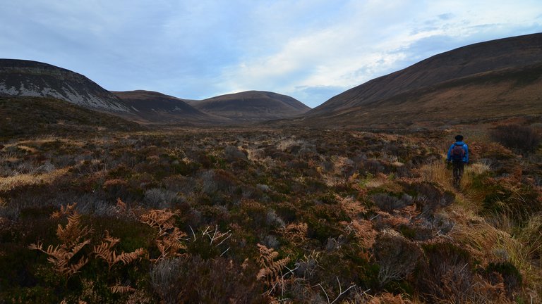 Person hiking across a windy peat bog on Hoy Island, Orkney.