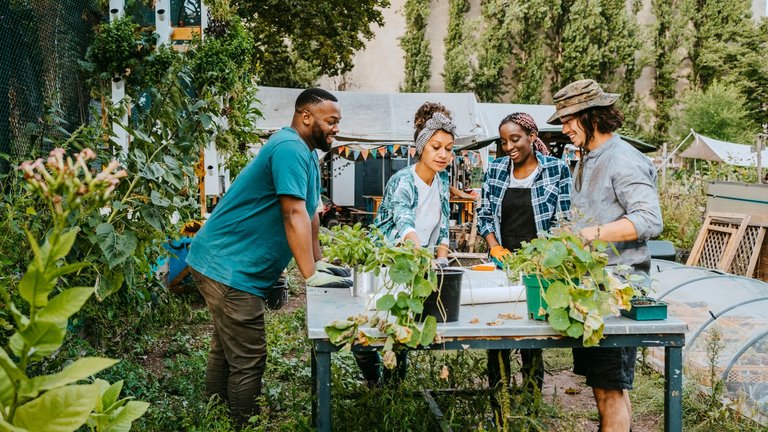 Volunteers talking at a table in an urban farm
