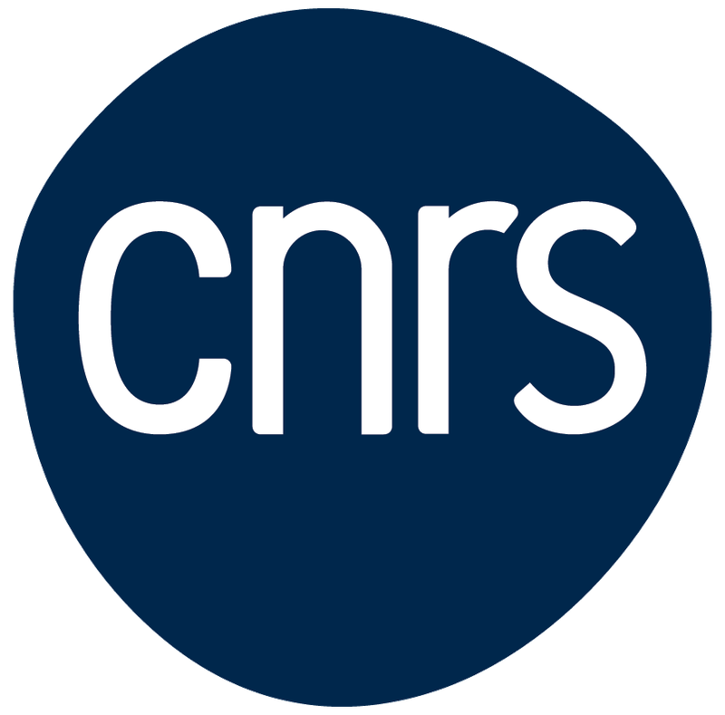 Centre national de la recherche scientifique (CNRS)