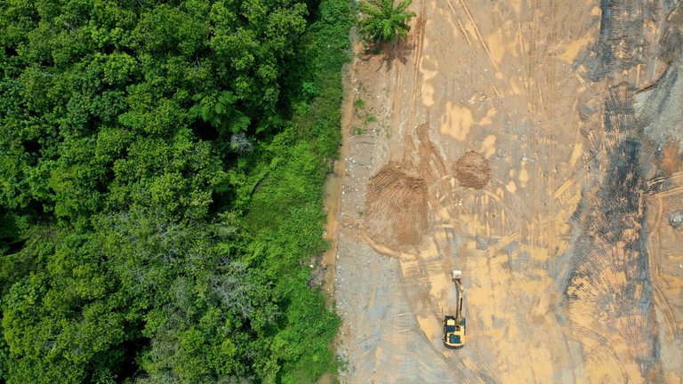 Aerial photo of depicting deforestation and logging with a digger.