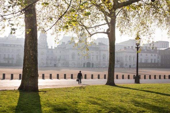 Atmospheric view of St James's Park in early sunlight with green grass and tall trees above a solitary walker as he crosses the deserted road to Horseguards Parade.
