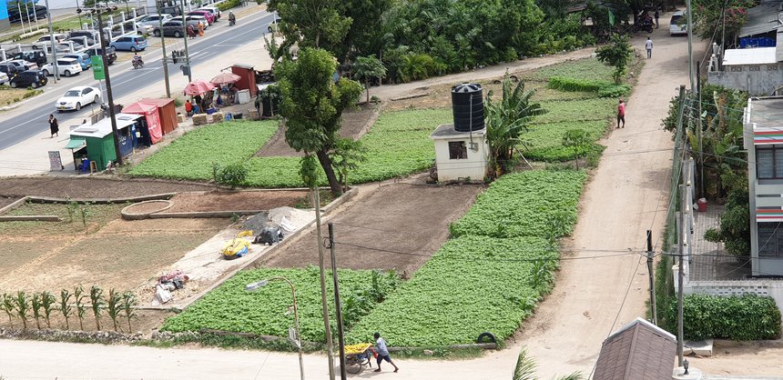 Msasani-open-space-garden-Tanzania-Ombeni-Swai.jpg