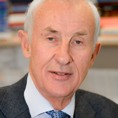 Portrait photo of Professor David Storey FBA