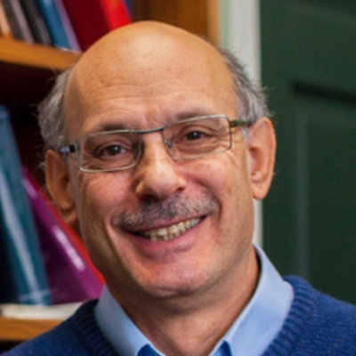 Headshot of Professor David Nelken FBA