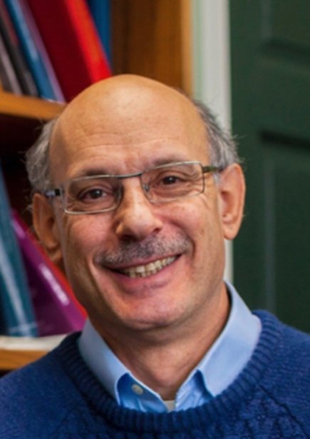 Headshot of Professor David Nelken FBA