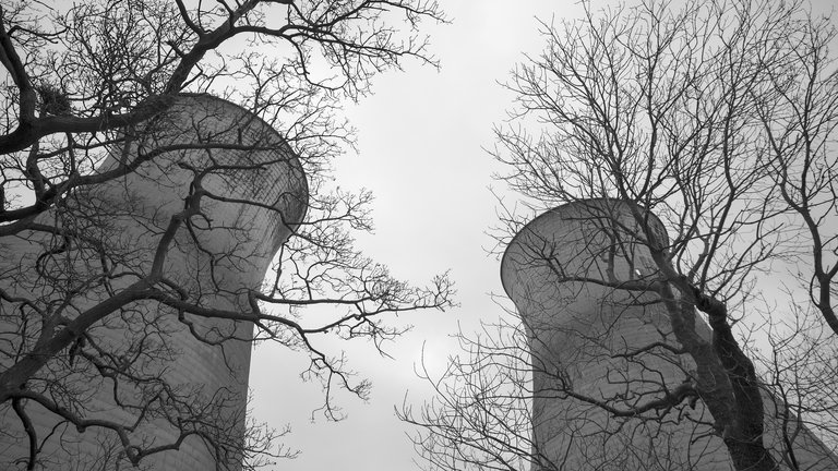 looking up at two power station pillars behind trees