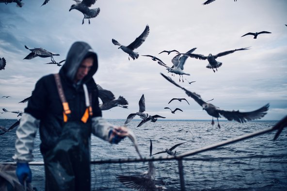 Seagulls-surround-fisher.jpg