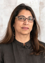 Portrait photo of Professor Shirin Rai FBA