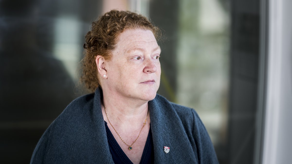 lungebetændelse fragment fuldstændig Professor Dame Sue Black FBA | The British Academy