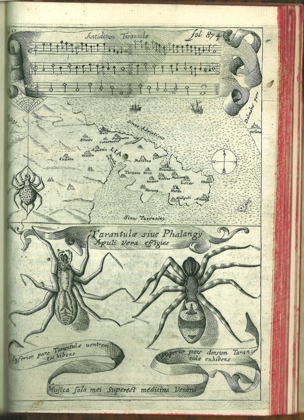 Tarantella-Athanasius-Kircher.jpg