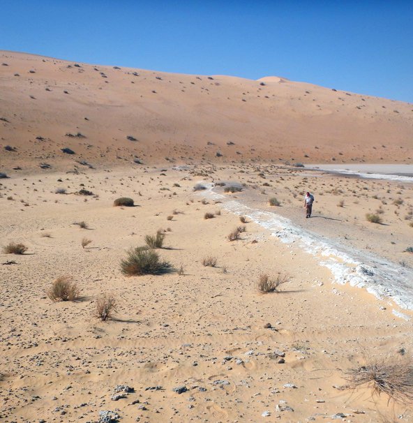 View of the Al Wusta site. Credit: Julien Louys.