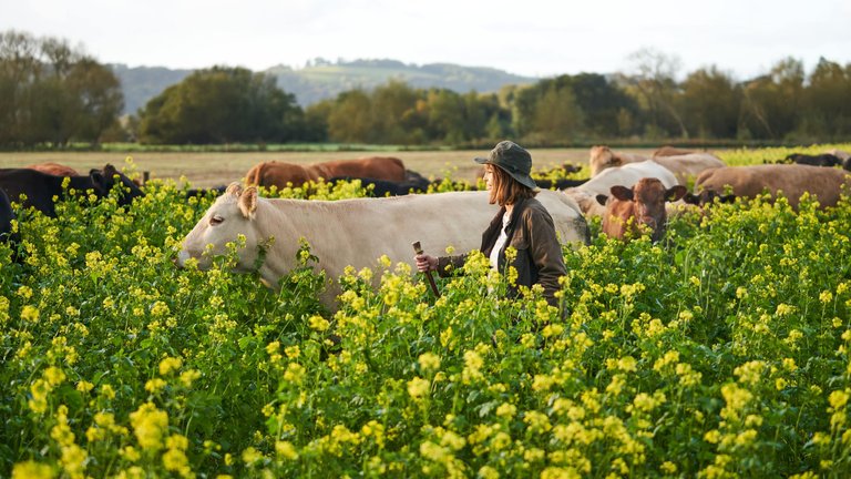 Example of photography depicting environment