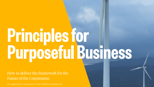 Principles For Purposeful Business The British Academy