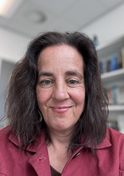 karin-wahl-jorgensen-fba