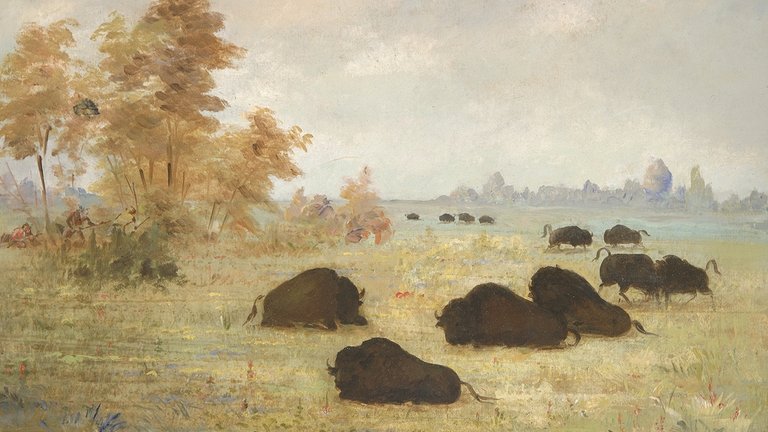 'Stalking Buffalo, Arkansas', 1846-1848, oil on canvas